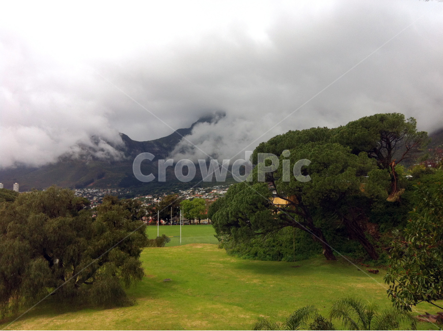 구름,정원,나무,들판,풀,잔디,tree,grass,leaf,cloud,자연,풍경,nature,landscape,outdoors,옥외,field,들