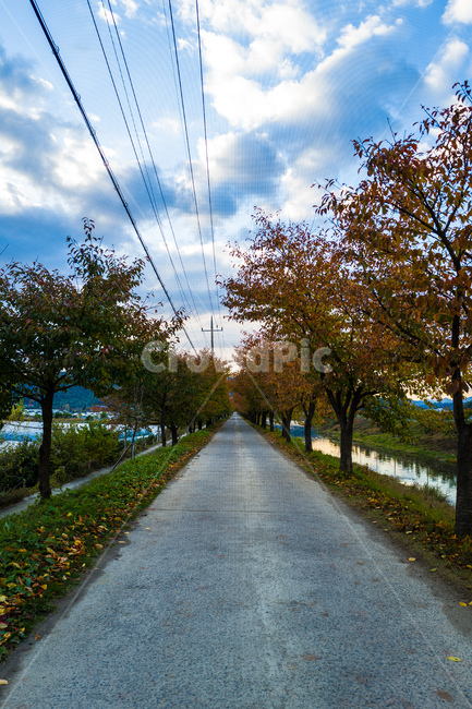 asphalt,road,fall,구름,street
