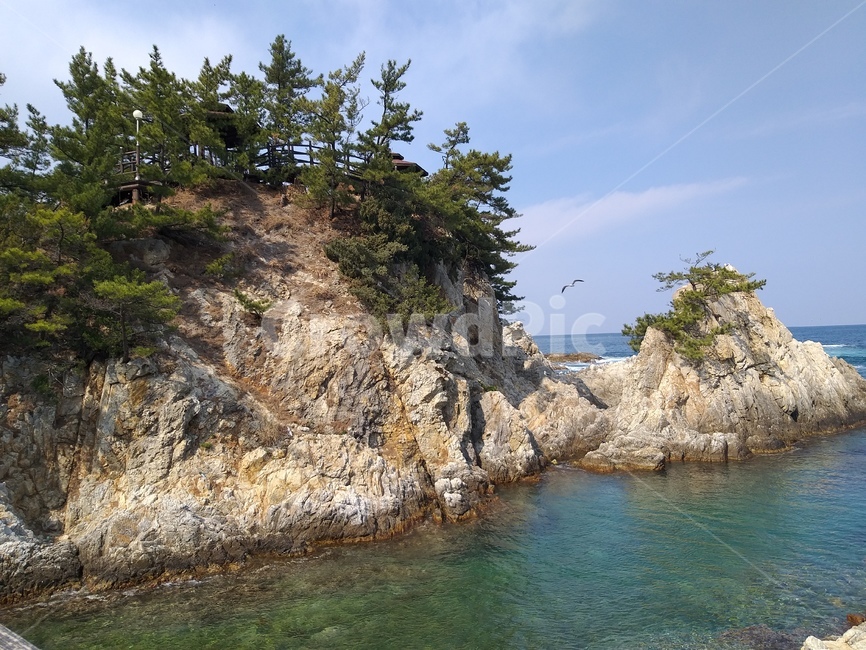 삼척장호항,동해바다,삼척,장호항,푸른바다,자연,풍경,nature,landscape,한국자연풍경,한국자연경관,korea nature landscape,outdoors,옥외,cliff,낭떠러지,promontory,곶