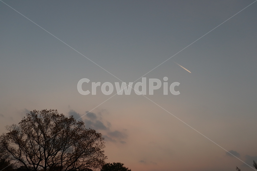 하늘,나무,구름,노을,풍경,sky