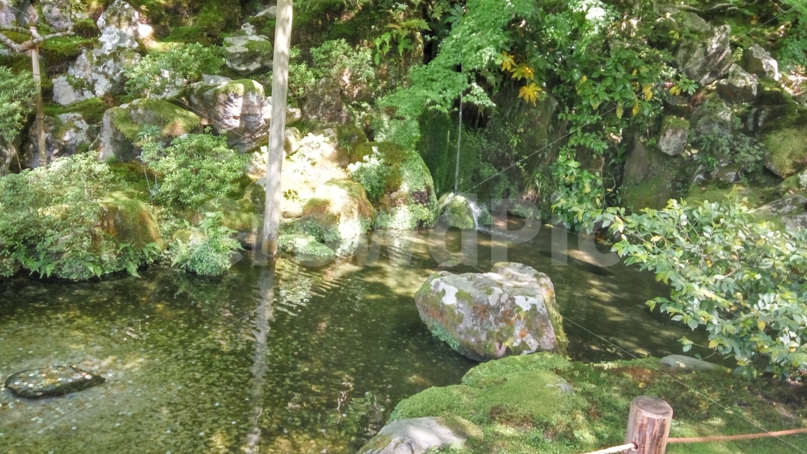 교토,은각사,연못,정원,자연,풍경,kyoto,kingakuji,pond,nature,landscape,자연,풍경,nature,landscape,water,물,outdoors,옥외