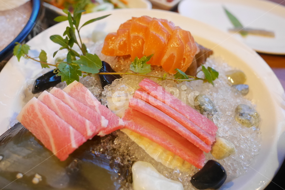 참치,참치회,회,일식,참다랑어,음식,식재료,요리,food,cook,meal,dishes,food reserves,수산물,해산물,fishery products,seafood,일식,일본음식,일본요리,Japanese food,Japanese dishes,Japanese meal,Japanese cook