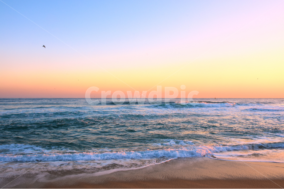 nature,자연,sea,바다,outdoors,ocean,shoreline,해안선,sunrise,background,해변,바다,beach,sea