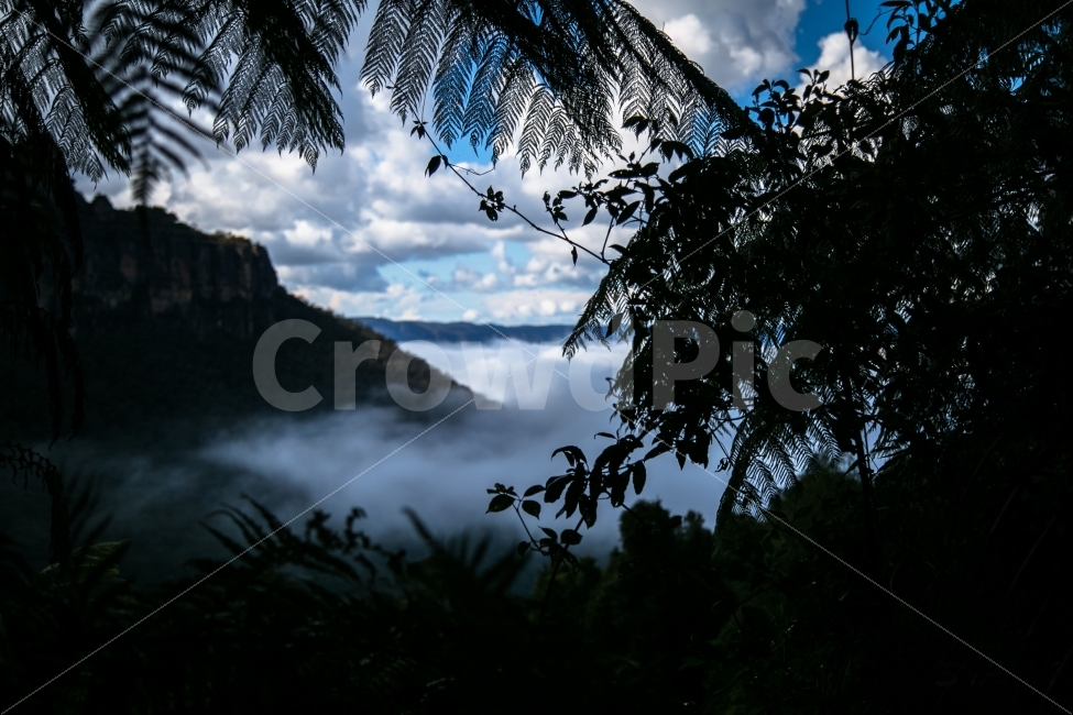 풍경,산,호주,정글,날씨,하늘,블루마운틴,자연,풍경,nature,landscape,해외,외국,세계,foreign,oversea,world,실루엣,그림자,silhouette,shadow,tree,나무,plant,식물,outdoors,옥외