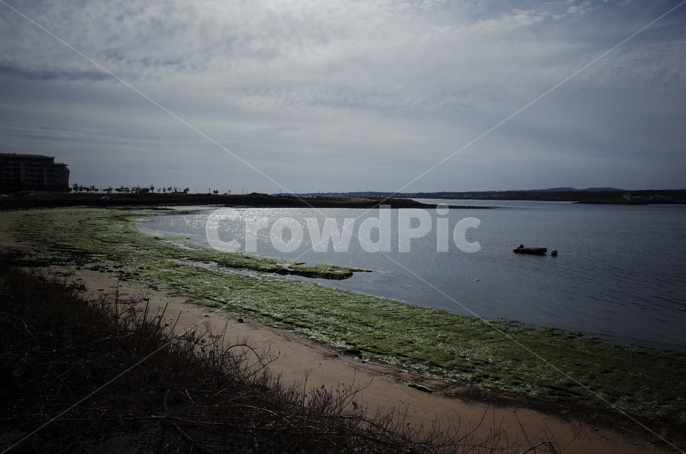 blue,sky,ocean,sea,water,바다,푸른하늘,하늘,푸른바다,shoreline,해안선,자연,green,cloud,구름,beach,해변,road,dirtroad,해초,바다풀,윤슬,자연,풍경,nature,landscape