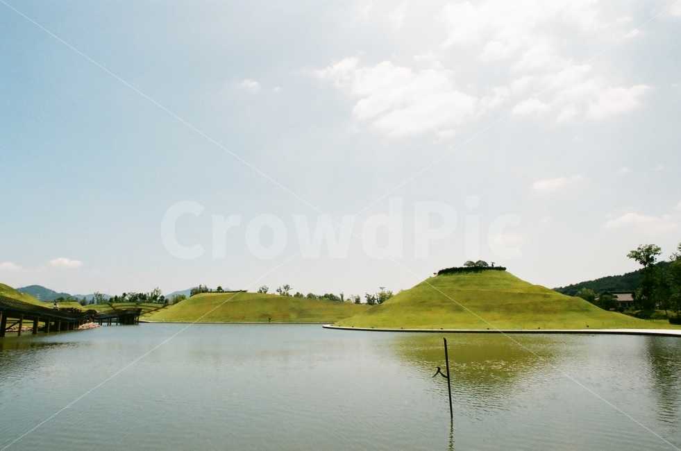 순천만,순천만국가정원,국가정원,순천,필름사진,자연,풍경,nature,landscape,랜드마크,landmark,tourist attraction,outdoors,옥외,water,물,field,들,grassland,목초지