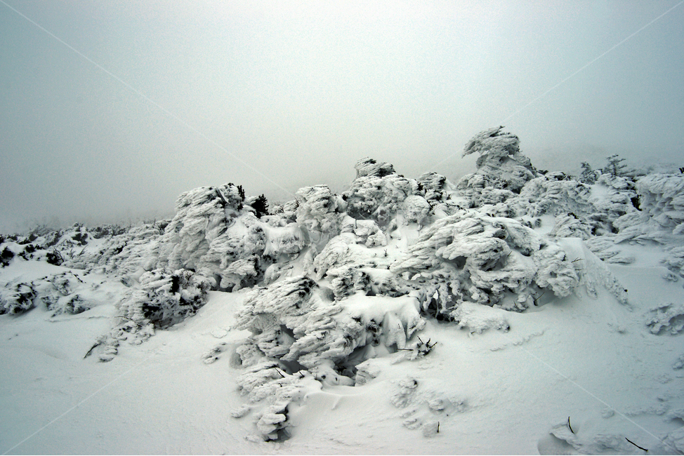 겨울산,한라산,설경,제주도,눈,설목,설화,한라산설경,겨울,계절,winter,season