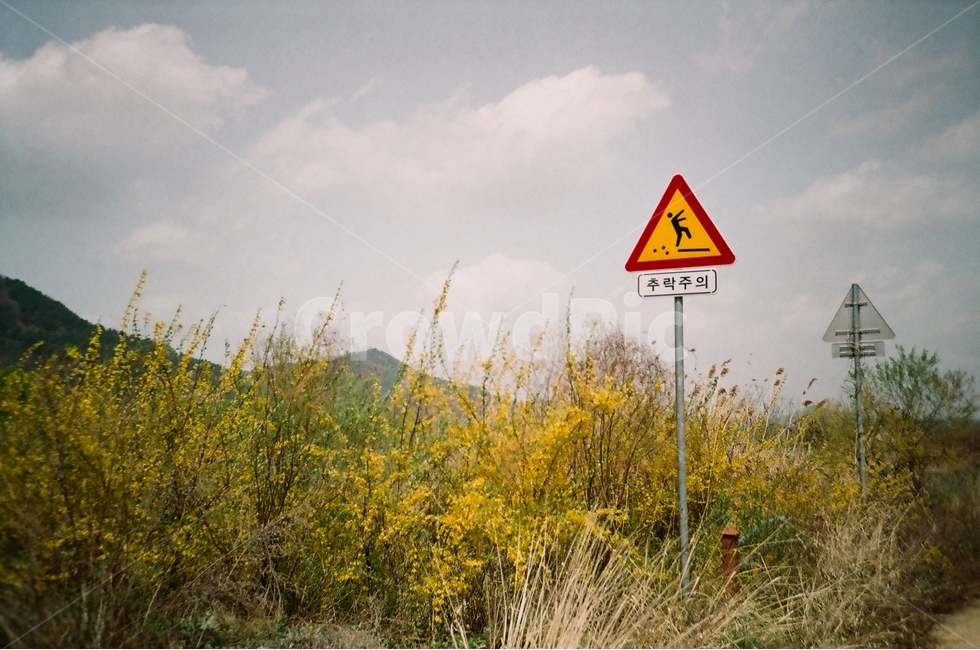 풍경,강가,꽃,추락주의,표지판,자연,풍경,nature,landscape