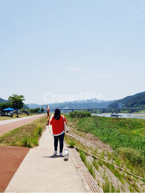 산책,애견산책,강아지,반려견,반려견산책