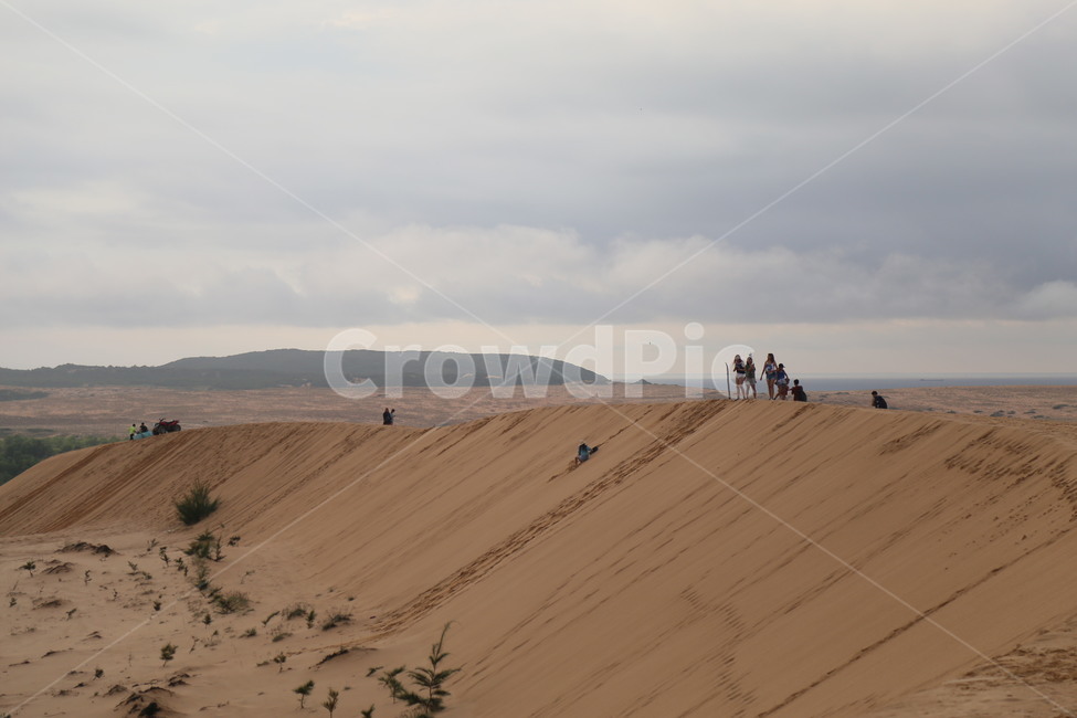 nature,자연,sand,모래,dune,모래언덕,관광지,사막,desert