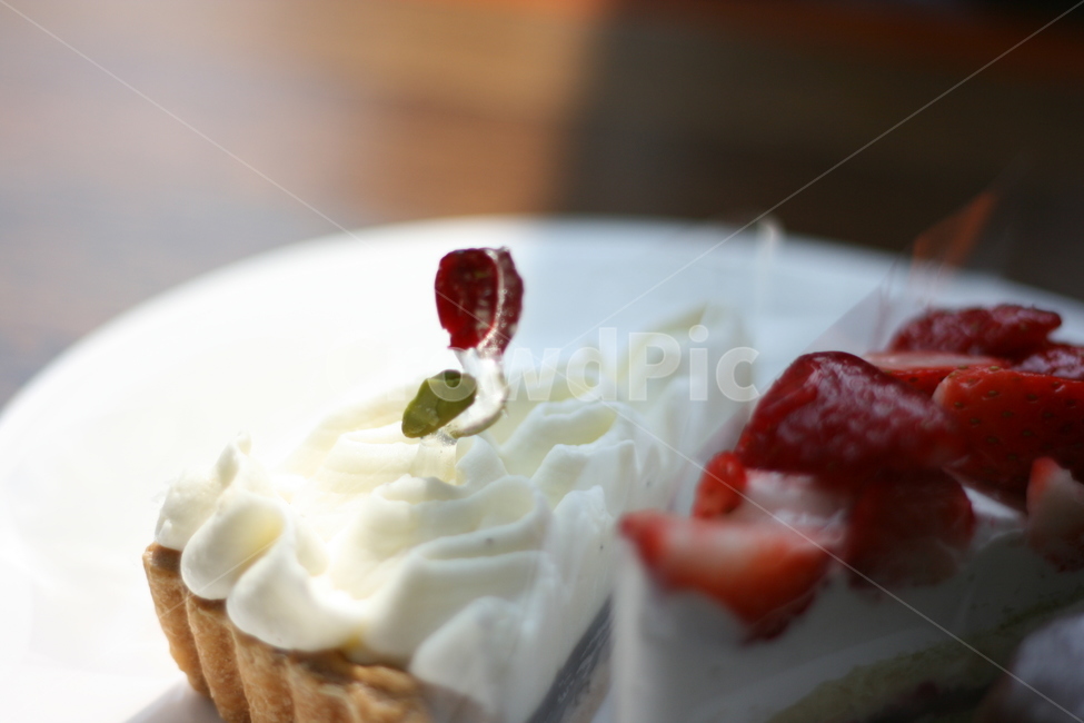 타르트,빵,맛집,케이크,음식,음식,식재료,요리,food,cook,meal,dishes,food reserves,디저트,간식,후식,dessert,snack