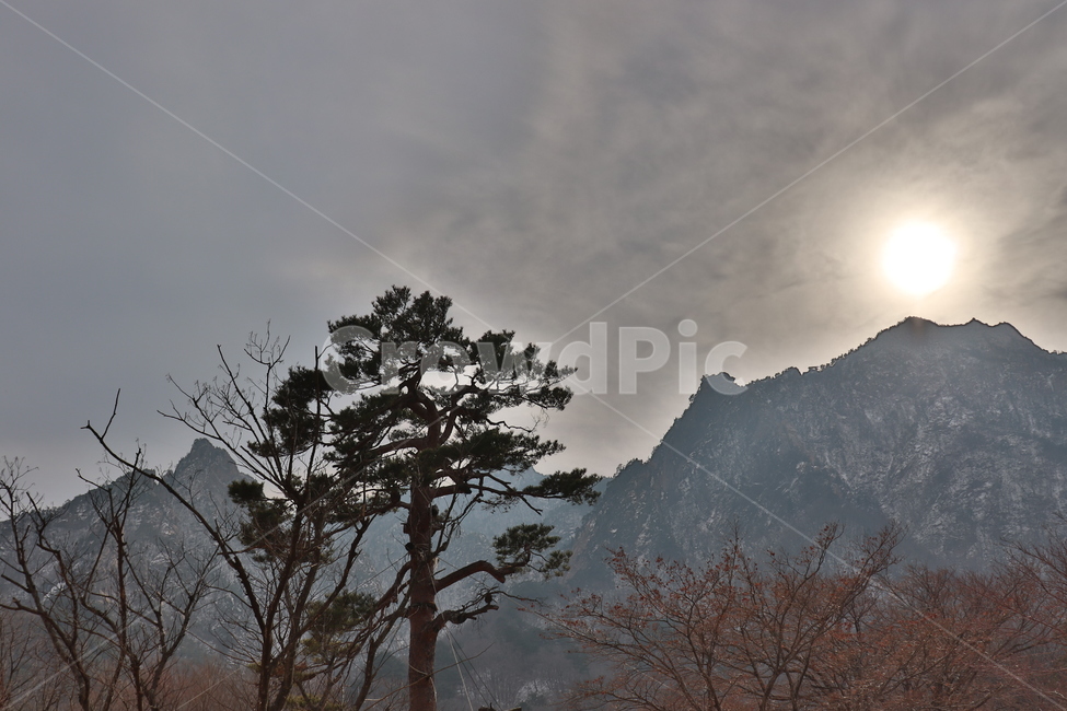 설악산,속초,설산,산,겨울산