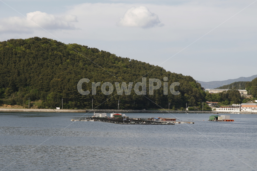 남해,바다,가두리,양식장,풍경,자연,풍경,nature,landscape,산업,industry,industrial,어업,fishery,fishing industry,outdoors,옥외,land,땅,water,물