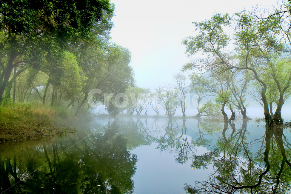 nature,자연,weather,날씨,outdoors,옥외,나무,반영,로하스,자연,풍경,nature,landscape