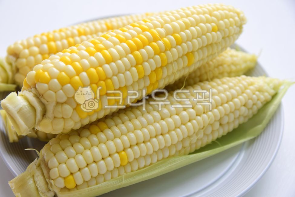 raw corn,corn,boiled,Chodang Corn,skin,cone,food,grains,corn kernels,corner,steamed,white corn,corn husk,granules,Food Ingredients,ingredients,ripe,steam,grain