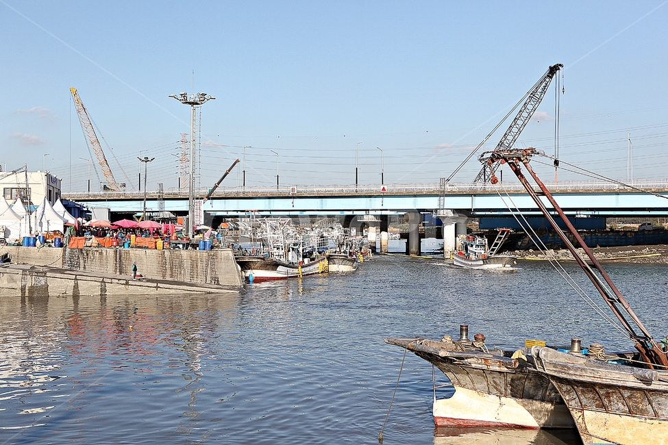 배,어선,선박,바다,고기잡이,어업,난업,파도,물,물살,풍경,자연,어업,fishery,fishing industry