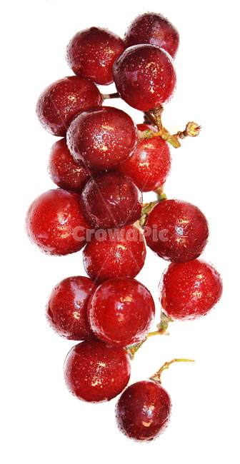 fruit,과일,food,음식,포도,음식,식재료,요리,food,cook,meal,dishes,food reserves
