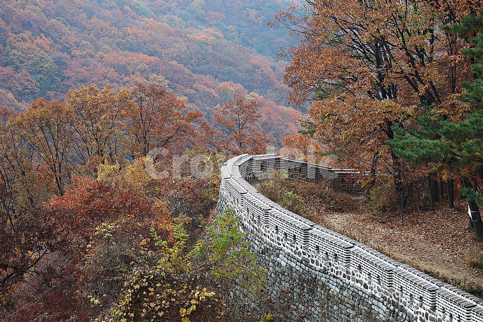 남한산성,성곽,성,단풍,낙엽,길,둘레길,숲,숲길,담,돌담,가을,자연,풍경,벽,울긋불긋,산성,식물,가을,계절,fall,autumn,season,한국전통,한국문화,korean traditional,korean culture,tree,나무,plant