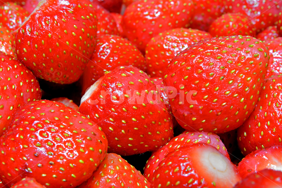 fruit,과일,strawberry,딸기,food,과일,열매,fruit
