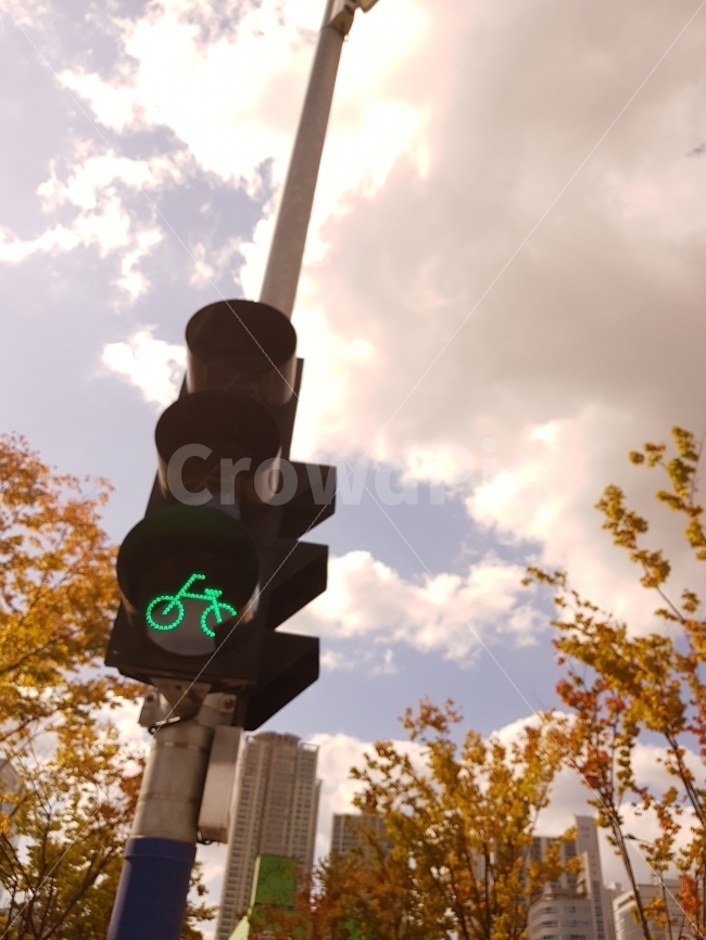 신호등,자전거,감성,하늘,단풍,풍경,스냅,교통,교통수단,traffic,transportation,light,빛,traffic light