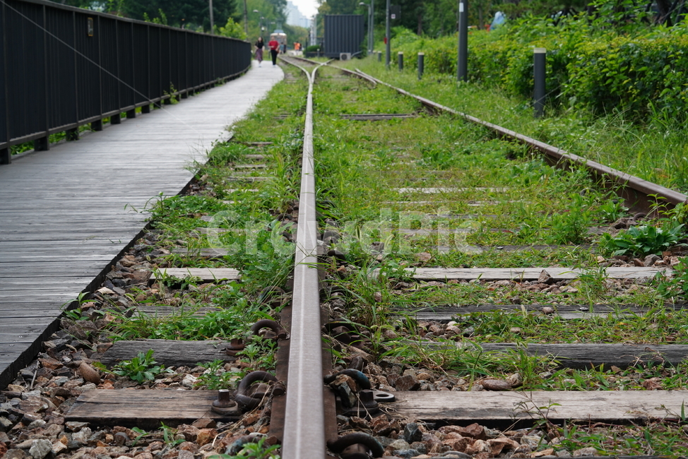 철길,레일,rail,길,철,기찻길,교통,railway,transportation,교통,교통수단,traffic,transportation