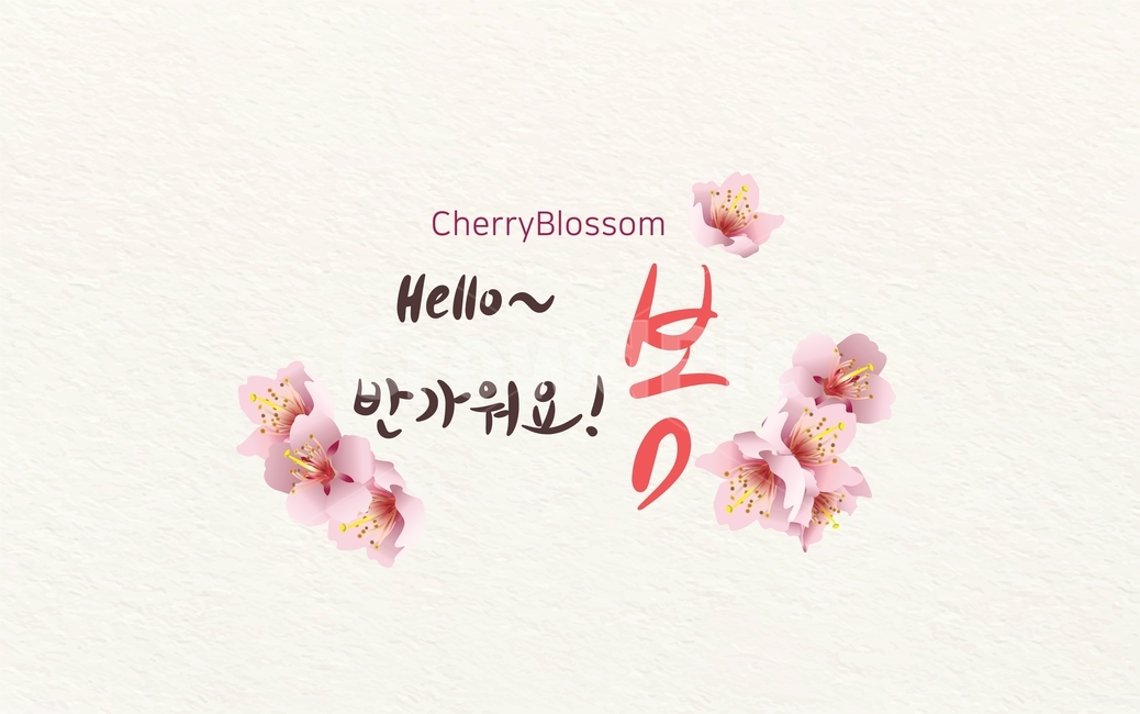 봄꽃,꽃,자연,핑크,봄,벚꽃,아름다운,시즌,꽃잎,계절,친환경,천연,맑은,공기청정,깨끗한,희망찬,사랑,로맨틱,고급스러운,아름다움,행운,빛,새롭다,햇살,상큼한,카피공간,뒷배경,환경,빛나다,오브젝트,쇼핑,프레임,블러,배경,식물,템플릿,에코,캘리그라피,서예,손글씨,붓글씨,축체,파티,이벤트,캘리그래피,기획전,할인,쇼핑몰,세일,행사,대배너,손글씨