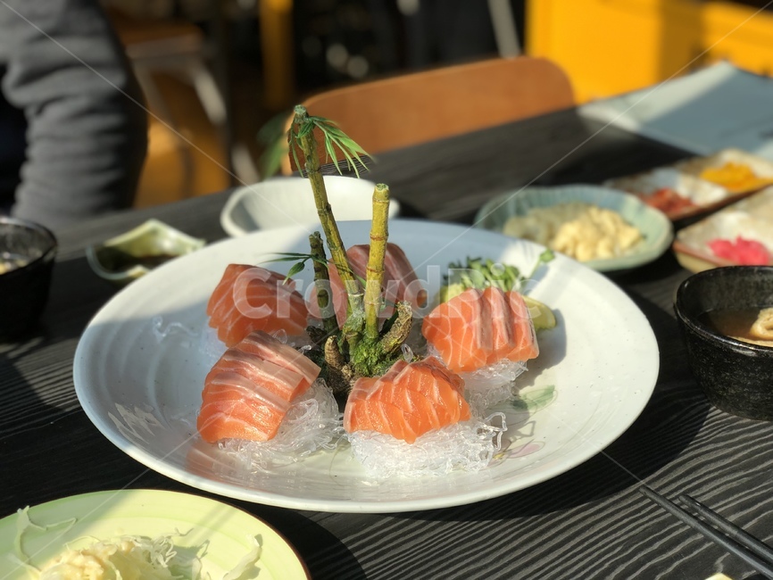연어회,연어,회,사시미,일식,음식,식재료,요리,food,cook,meal,dishes,food reserves,수산물,해산물,fishery products,seafood