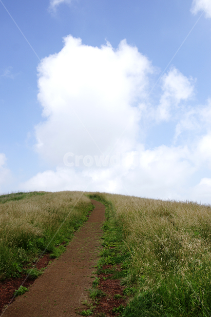 grassland,목초지,field,들,자연,nature,옥외,outdoors,하늘,구름,맑음,여름,길,산책,파랑,풀,맑은날,오름,금악오름,제주도,jeju,jeju island