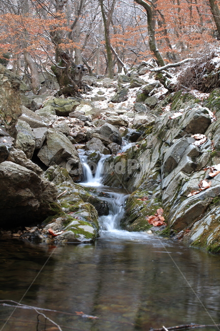 풍경,water,물,nature,자연,outdoors,옥외,계곡,돌,식물,낙엽,겨울,계절,winter,season