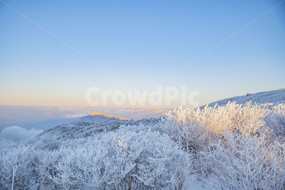 설산,태백산,겨울산,겨울,상고대,풍경,산,겨울풍경,눈꽃,nature,자연,겨울,계절,winter,season,자연,풍경,nature,landscape