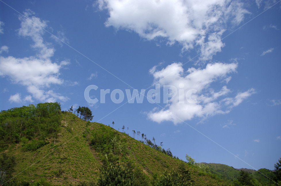 하늘,구름,산,풍경,나무,outdoors,옥외,grassland,목초지,field,들,nature,자연,slope,경사