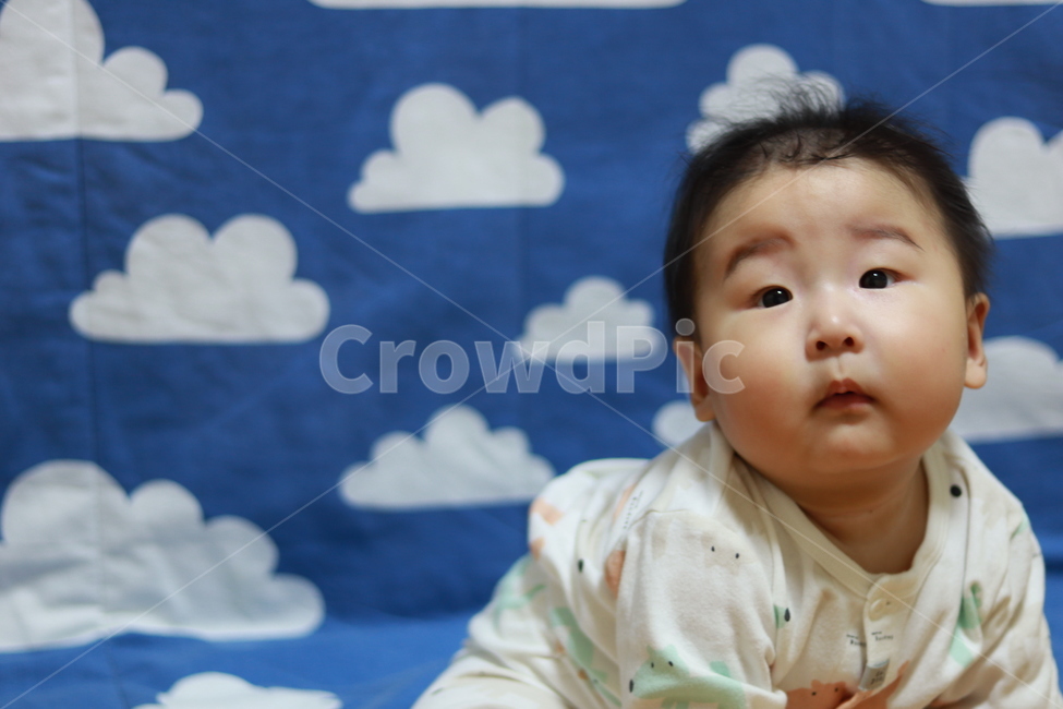 아들,아기,웃음,행복,가족,사랑,호기심,사람,인물,인간,human,person,영유아,아기,애기,아이,infants,baby