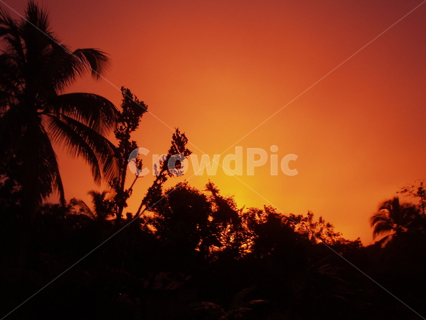 인도네시아,보르네오,칼리만탄,석양,일몰,붉은하늘,실루엣,indonesia,kalimantan,borneo,sunset,dusk,twilight,silhouette,정글,정글석양,밀림,자연,nature