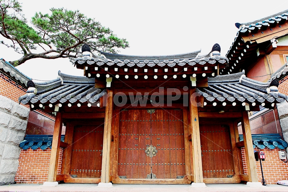 한옥,한옥집,전통집,기와집,집,풍경,기와