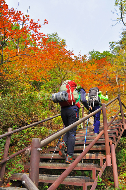 가을,설악산,가을배경,국립공원,풍경,한국풍경,한국자연경관,가을산,nature,자연,outdoors,옥외,seoraksannationalpark,nationalpark,산,maple,강원도,배경,바탕,백그라운드,background,fall,autumn,season,시즌,계절,단풍나무,tree,나무,leaf,잎,plant,단풍,10월,mountain,outdoor,사람,철계단,등산로,등산객,가을,계절,fall,autumn,season,자연,풍경,nature,landscape,사람,인물,인간,human,person
