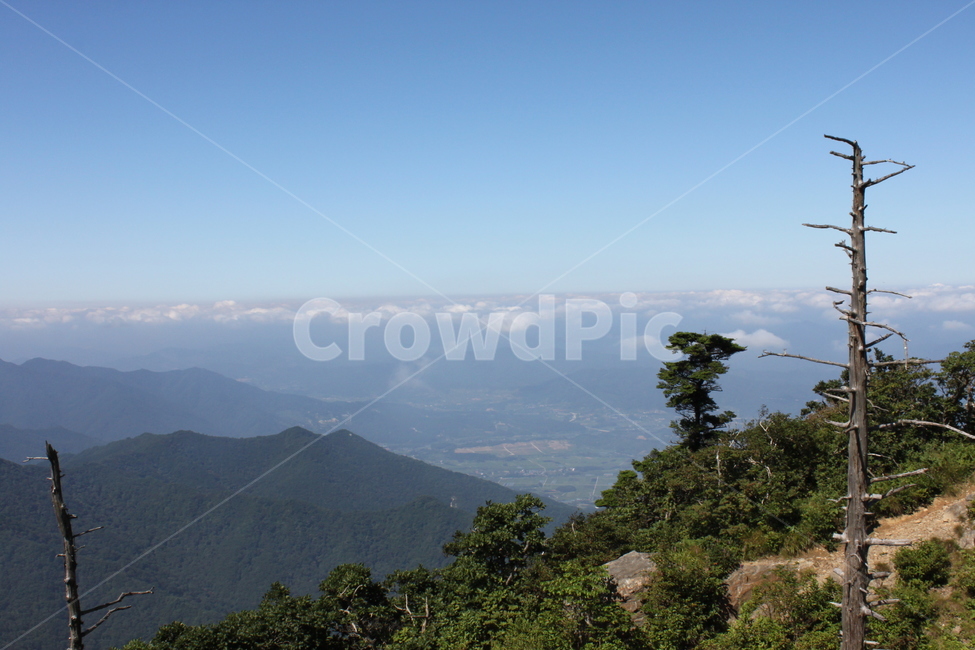 한국,자연,산,산꼭대기,산정상,구름