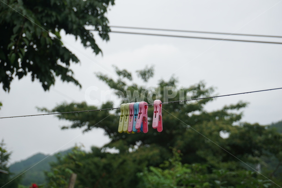 빨래집개,집개,빨래,빨래줄,시골,여름,clothespin,wash,비,비온뒤,country,감성,오후,rain,summer,raindrop,빗방울,tree,나무,green