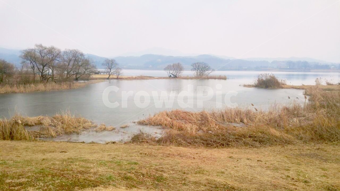 배경,풍경,자연,물,강