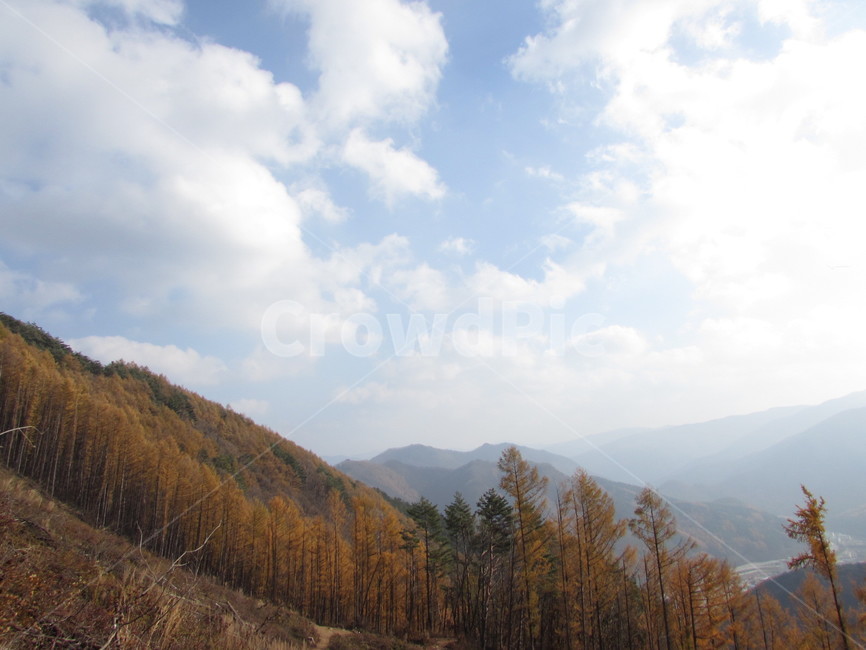 산,나무,가을산,구름,하늘,가을,moutain,tree,autumn,cloud,sky,가을,계절,fall,autumn,season,plant,식물,nature,자연