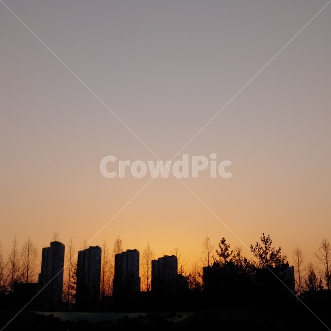 노을,아파트,도시,저녁노을,저녁,도시,풍경,city,landscape,실루엣,그림자,silhouette,shadow,nature,자연,outdoors,옥외,sky,하늘,dusk,황혼,red sky,붉은 하늘,dawn,새벽,sunset,일몰