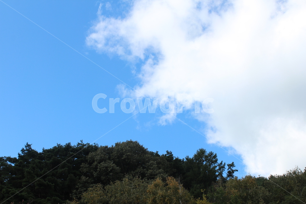 가을하늘,자연,구름,파란하늘,nature,자연,풍경,nature,landscape,outdoors,옥외