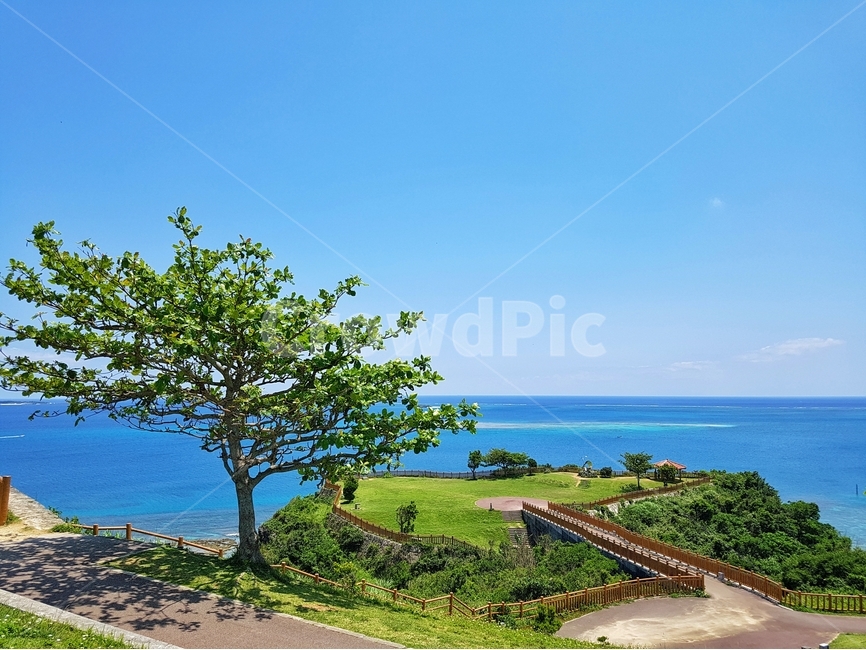 하늘,구름,sky,cloud,공원,park,오키나와,okinawa,자연,풍경,nature,landscape,해외,외국,세계,foreign,oversea,world,세계자연풍경,해외자연풍경,외국자연풍경,world nature landscape,plant,식물,tree,나무