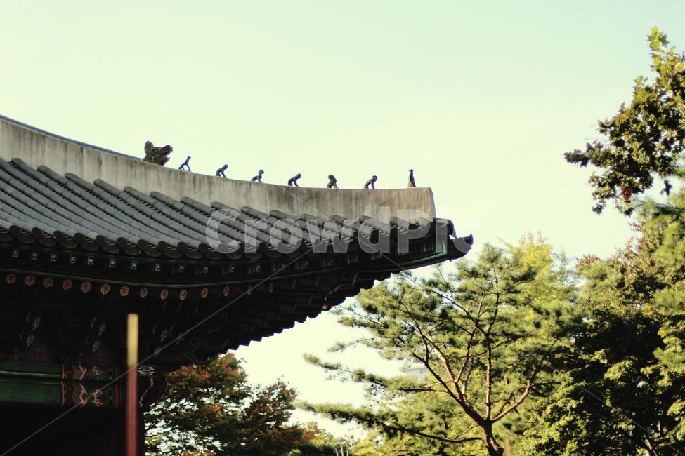 가을경복궁,문화재,무노하유산,감성사진,경회루,풍경,자연,한국전통,한국문화,korean traditional,korean culture,건축물,건물외관,exterior,building,structure,architecture,construction