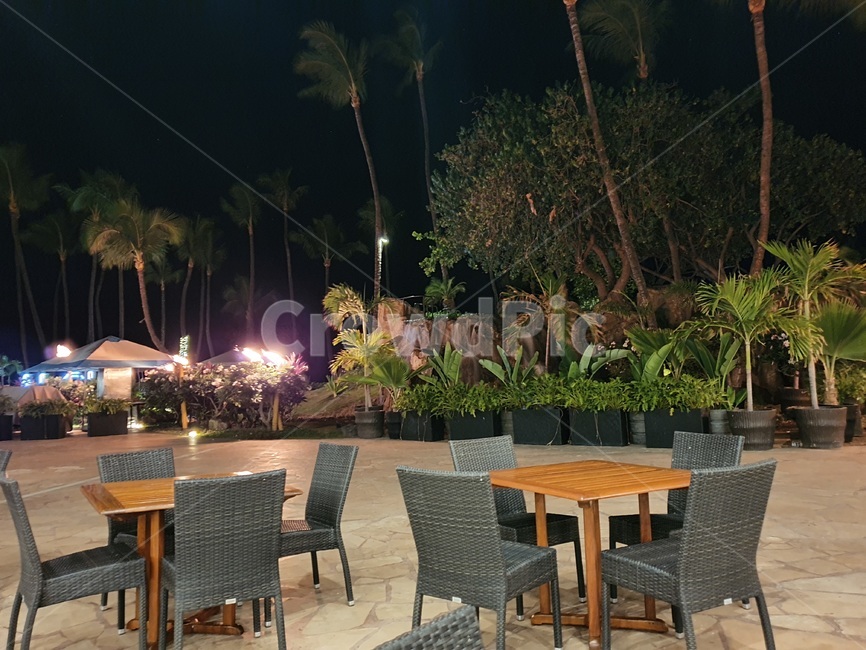 하와이,마우이,레스토랑,야경,전망,restaurant,furniture,가구,의자,chair,나무,빛,tree,hawaii,maui,westinmaui,호텔,리조트,식당