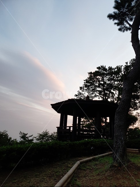 sky,하늘,구름,cloud,tree,나무