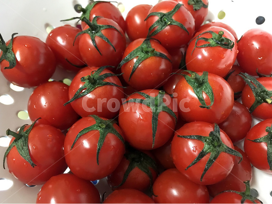 토마토,식재료,음식,과일,방울토마토,채소,음식,식재료,요리,food,cook,meal,dishes,food reserves,과일,열매,fruit