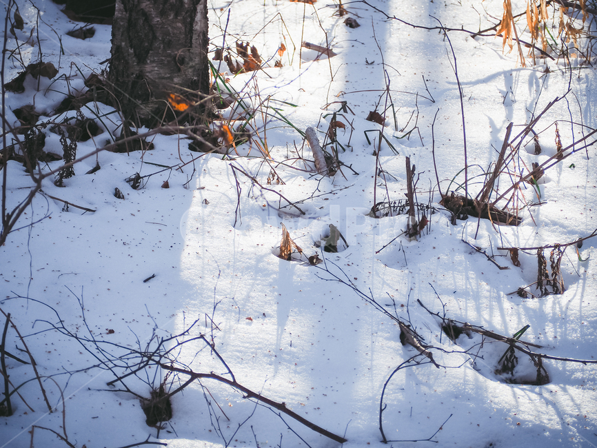 풍경,눈,snow,겨울,winter,겨울,계절,winter,season,자연,풍경,nature,landscape,land,땅,outdoors,옥외
