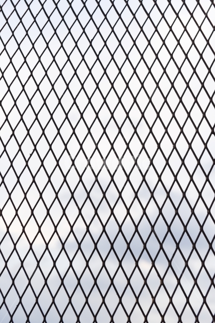 철망,철창,경계,철벽,철사,망사,철망사,울타리,텍스처,질감,패턴,texture,pattern