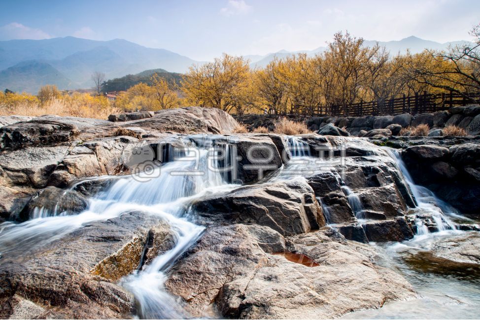 blossom,yellow flower,flower,spring,spring flowers,Cornus officinalis flower,Cornus officinalis,waterfall,watercourse,River,river