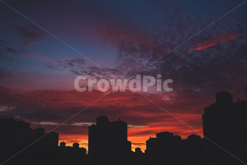 일출,아름다움,풍경,그라데이션,무지개색,색감,도시,풍경,city,landscape,실루엣,그림자,silhouette,shadow